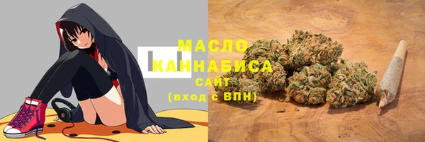 дживик Абаза