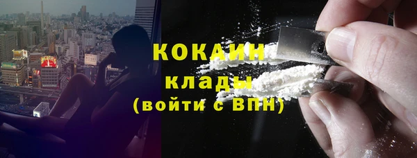 дживик Абаза