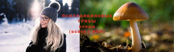 дживик Абаза