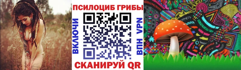 Псилоцибиновые грибы GOLDEN TEACHER  гидра ссылка  Абаза 